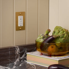 Plank Hardware JASPER 1G 15A Outlet - Heritage Brass