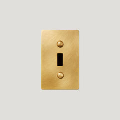Plank Hardware JASPER 1G Toggle/Dimmer Plate - Heritage Brass