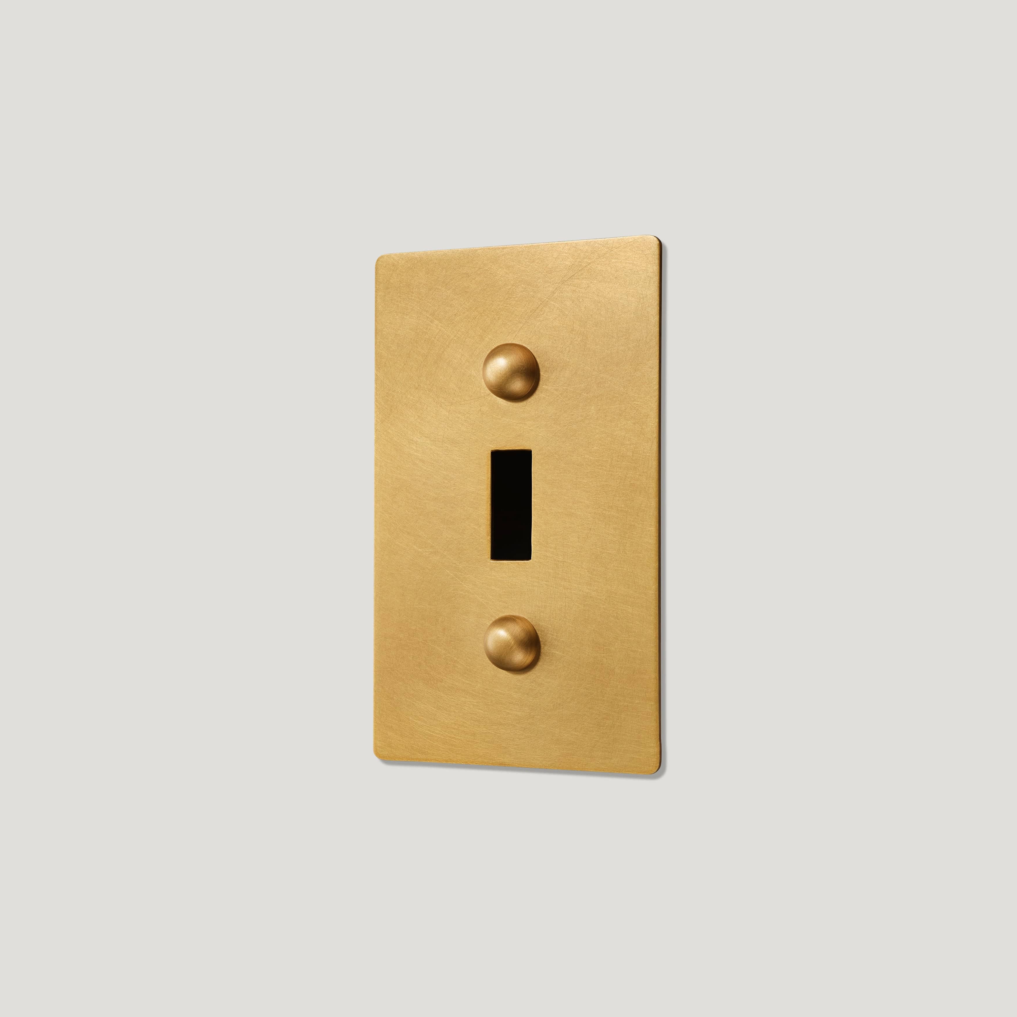 Plank Hardware JASPER 1G Toggle/Dimmer Plate - Heritage Brass