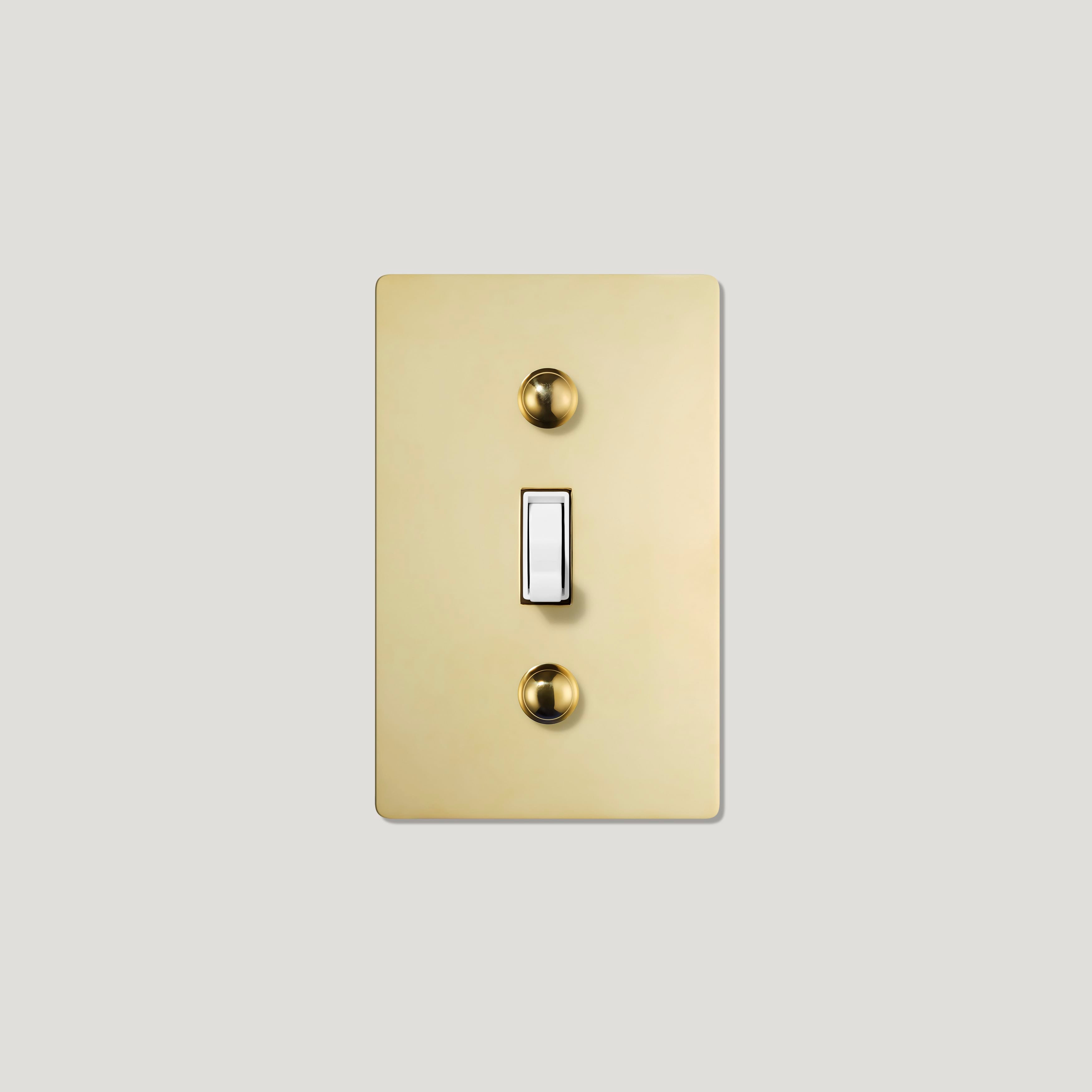 Polished Brass Toggle Switch with White Toggle
